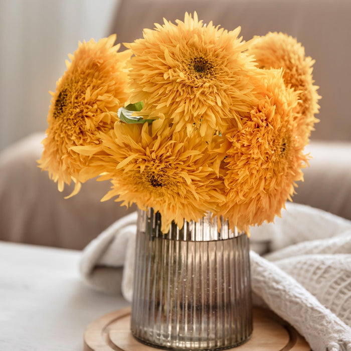 Teddy Bear, Sunflower Seeds - BoxGardenSeedsLLC -Culinary/Medicinal Herbs - Seeds