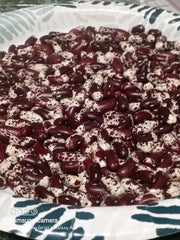 1500 Year Old Cave, Dry Pole Bean - BoxGardenSeedsLLC - Beans / Dry Beans - Seeds - Thank you for shopping here today, Non GMO Seeds, Naturally Grown Seeds, Grown to Organic Standards, Heirloom Seeds, Open Pollinated Seeds, Fresh Premier Seeds, USA Seller