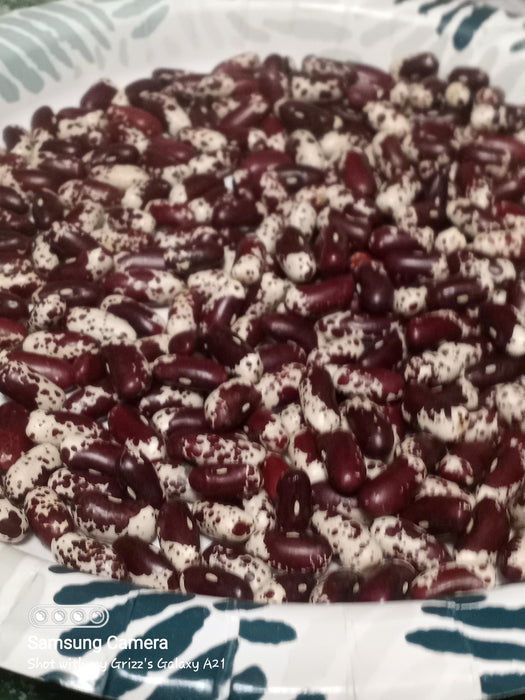 1500 Year Old Cave, Dry Pole Bean - BoxGardenSeedsLLC -Beans / Dry Beans - Seeds