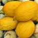 Copy Sweet Granite Cantaloupe - BoxGardenSeedsLLC - Melons, Cantaloupe - Seeds - USA Seller, Thank you for shopping here today, Naturally Grown GMO Free Seeds, Heirloom Open Pollinated Seeds, Fresh Top Quality Premium Seeds