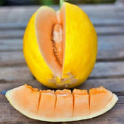 Crenshaw, Melon - BoxGardenSeedsLLC - Melons, Cantaloupe - Seeds - USA Seller, Thank you for shopping here today, Naturally Grown GMO Free Seeds, Heirloom Open Pollinated Seeds, Fresh Top Quality Premium Seeds