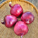 Lila, Bunching Onion Seeds - BoxGardenSeedsLLC -Onions,Leeks - Seeds