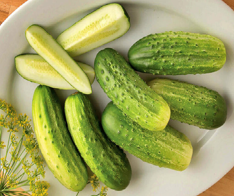 Cool Customer, Pickling Cucumber - BoxGardenSeedsLLC - Cucumbers - Seeds - USA Seller, Thank you for shopping here today, Naturally Grown GMO Free Seeds, Heirloom Open Pollinated Seeds, Fresh Top Quality Premium Seeds