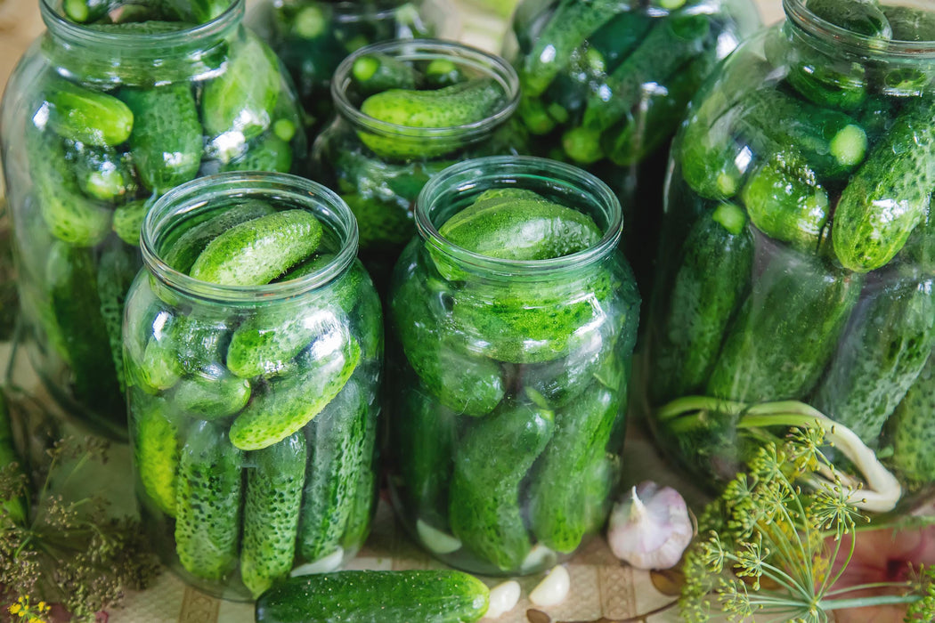 Cool Customer, Pickling Cucumber - BoxGardenSeedsLLC -Cucumbers - Seeds