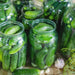 Cool Customer, Pickling Cucumber - BoxGardenSeedsLLC -Cucumbers - Seeds