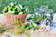 Parisian Pickling, Cucumber - BoxGardenSeedsLLC - Cucumbers - Seeds - USA Seller, Thank you for shopping here today, Naturally Grown GMO Free Seeds, Heirloom Open Pollinated Seeds, Fresh Top Quality Premium Seeds