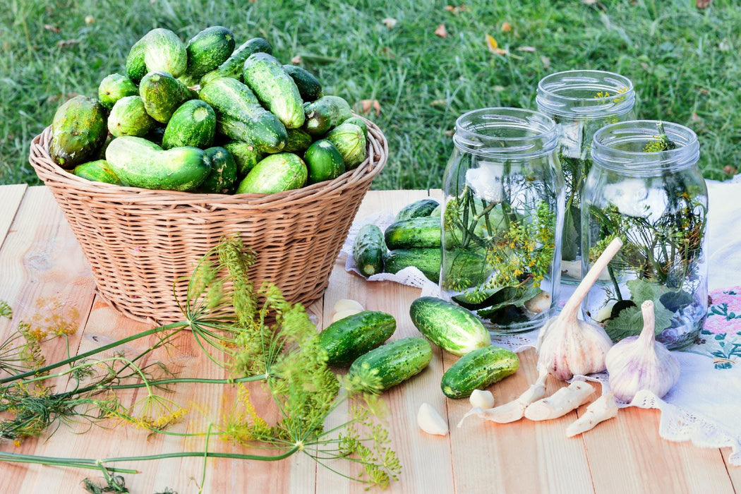 Homemade Pickles, Cucumber - BoxGardenSeedsLLC -Cucumbers - Seeds
