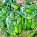 National Pickling, Cucumber - BoxGardenSeedsLLC -Cucumbers - Seeds