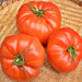 Pusztakolosz, Tomato - BoxGardenSeedsLLC -Tomatoes,Tomatillos - Seeds