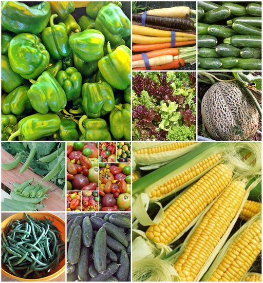 Vegetable Garden, Seed Kit - BoxGardenSeedsLLC -Tomatoes,Tomatillos - Seeds