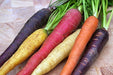 Rainbow Mix, Carrot, -- BoxGardenSeedsLLC -Carrots - Seeds