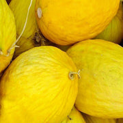 Crenshaw, Melon - BoxGardenSeedsLLC - Melons, Cantaloupe - Seeds - USA Seller, Thank you for shopping here today, Naturally Grown GMO Free Seeds, Heirloom Open Pollinated Seeds, Fresh Top Quality Premium Seeds