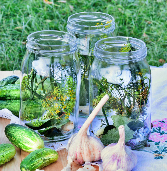 Cool Customer, Pickling Cucumber - BoxGardenSeedsLLC -Cucumbers - Seeds