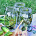 Cool Customer, Pickling Cucumber - BoxGardenSeedsLLC -Cucumbers - Seeds