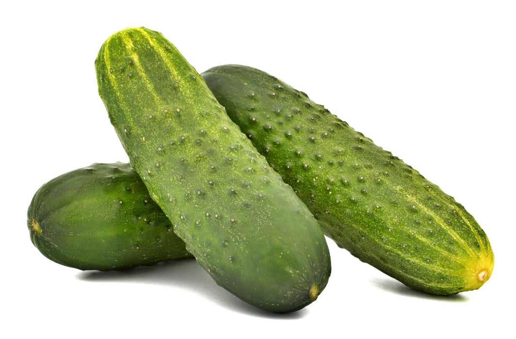 Cool Customer, Pickling Cucumber - BoxGardenSeedsLLC -Cucumbers - Seeds