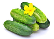 Parisian Pickling, Cucumber - BoxGardenSeedsLLC - Cucumbers - Seeds - USA Seller, Thank you for shopping here today, Naturally Grown GMO Free Seeds, Heirloom Open Pollinated Seeds, Fresh Top Quality Premium Seeds