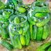 Homemade Pickles, Cucumber - BoxGardenSeedsLLC -Cucumbers - Seeds