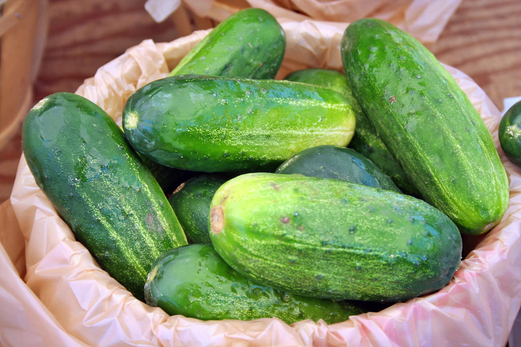 Homemade Pickles, Cucumber - BoxGardenSeedsLLC -Cucumbers - Seeds