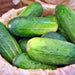 Homemade Pickles, Cucumber - BoxGardenSeedsLLC -Cucumbers - Seeds