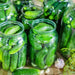 Wisconsin SMR 58, Cucumber - BoxGardenSeedsLLC -Cucumbers - Seeds