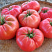 Siberian Giant Pink, Tomato - BoxGardenSeedsLLC -Tomatoes,Tomatillos - Seeds