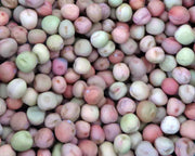 Taiwan Sugar, Pea - BoxGardenSeedsLLC - Peas - Seeds - USA Seller, Thank you for shopping here today, Naturally Grown GMO Free Seeds, Heirloom Open Pollinated Seeds, Fresh Top Quality Premium Seeds