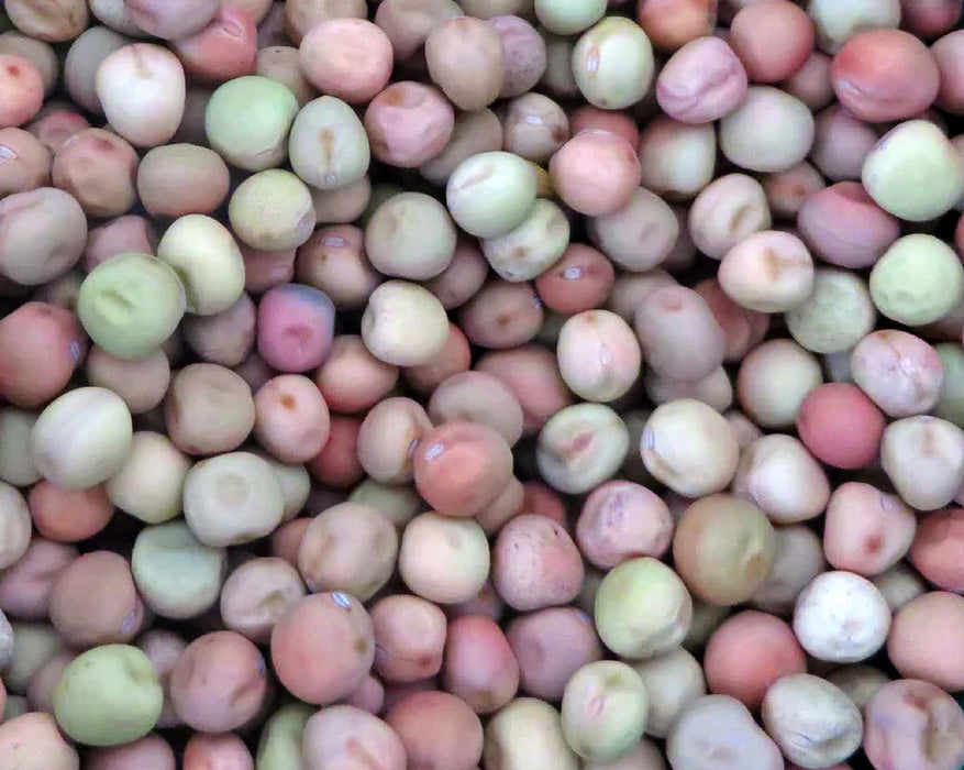 Taiwan Sugar, Pea - BoxGardenSeedsLLC -Peas - Seeds