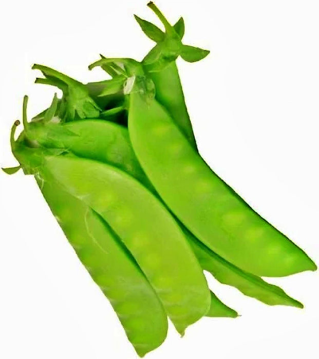 Taiwan Sugar, Pea - BoxGardenSeedsLLC -Peas - Seeds
