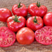 Perfect Rogue, Tomato - BoxGardenSeedsLLC -Tomatoes,Tomatillos - Seeds