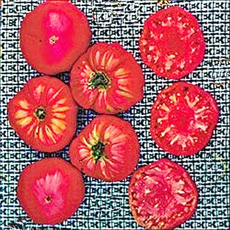 Soldacki, Tomato - BoxGardenSeedsLLC - Tomatoes,Tomatillos - Seeds - USA Seller, Thank you for shopping here today, Naturally Grown GMO Free Seeds, Heirloom Open Pollinated Seeds, Fresh Top Quality Premium Seeds