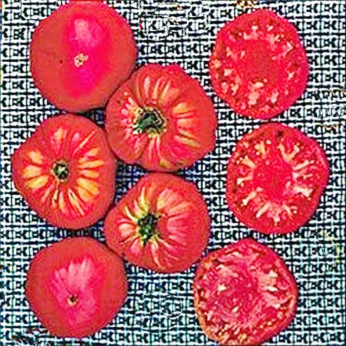 Soldacki, Tomato - BoxGardenSeedsLLC -Tomatoes,Tomatillos - Seeds