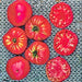 Soldacki, Tomato - BoxGardenSeedsLLC -Tomatoes,Tomatillos - Seeds