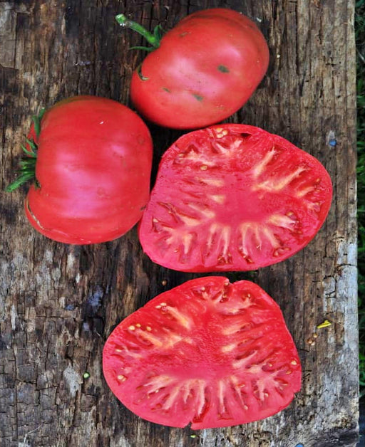 Trip L Crop, Tomato - BoxGardenSeedsLLC -Tomatoes,Tomatillos - Seeds