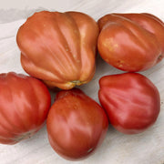 Red Truffle, Tomato - BoxGardenSeedsLLC - Tomatoes,Tomatillos - Seeds - USA Seller, Thank you for shopping here today, Naturally Grown GMO Free Seeds, Heirloom Open Pollinated Seeds, Fresh Top Quality Premium Seeds