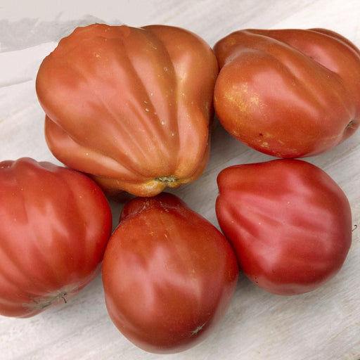 Red Truffle, Tomato - BoxGardenSeedsLLC -Tomatoes,Tomatillos - Seeds
