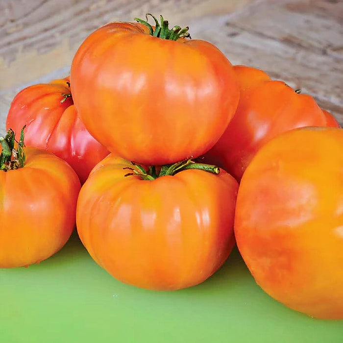Old German, Tomato - BoxGardenSeedsLLC -Tomatoes,Tomatillos - Seeds
