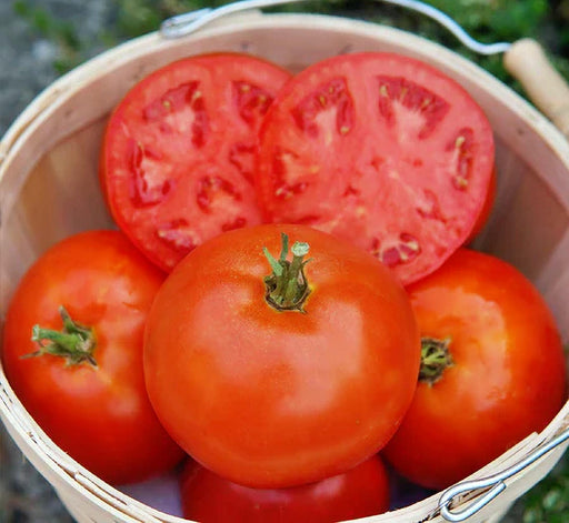 Umpqua Beauty, Tomato - BoxGardenSeedsLLC -Tomatoes,Tomatillos - Seeds
