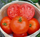 Umpqua Beauty, Tomato - BoxGardenSeedsLLC - Tomatoes,Tomatillos - Seeds - USA Seller, Thank you for shopping here today, Naturally Grown GMO Free Seeds, Heirloom Open Pollinated Seeds, Fresh Top Quality Premium Seeds