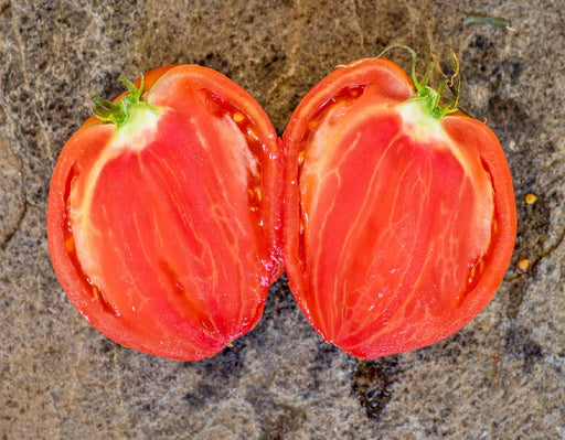 Giant of Siebenburgen, Tomato, Heirloom Seeds Organic Standards Open Pollinated Gardening Non-GMO - BoxGardenSeedsLLC -Tomatoes,Tomatillos - Seeds
