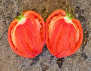 Giant of Siebenburgen, Tomato - BoxGardenSeedsLLC - Tomatoes,Tomatillos - Seeds - USA Seller, Thank you for shopping here today, Naturally Grown GMO Free Seeds, Heirloom Open Pollinated Seeds, Fresh Top Quality Premium Seeds