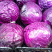Cabbage, Red Express - BoxGardenSeedsLLC -Cabbage, Kale - Seeds