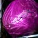 Cabbage, Red Express - BoxGardenSeedsLLC -Cabbage, Kale - Seeds
