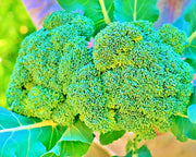 Green Calabrese, Broccoli - BoxGardenSeedsLLC - Broccoli,Cauliflower - Seeds - USA Seller, Thank you for shopping here today, Naturally Grown GMO Free Seeds, Heirloom Open Pollinated Seeds, Fresh Top Quality Premium Seeds