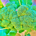 Broccoli, Green Calabrese - BoxGardenSeedsLLC -Broccoli,Cauliflower - Seeds