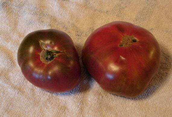 Black Krim, Tomato - BoxGardenSeedsLLC - Tomatoes,Tomatillos - Seeds - 