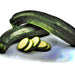 Black Beauty Zucchini, Summer Squash - BoxGardenSeedsLLC - Squash,Pumpkins - Seeds - USA Seller, Thank you for shopping here today, Naturally Grown GMO Free Seeds, Heirloom Open Pollinated Seeds, Fresh Top Quality Premium Seeds