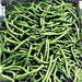Heirloom Vegetable Garden, Seed Collection - BoxGardenSeedsLLC - Tomatoes,Tomatillos - Seeds - 
