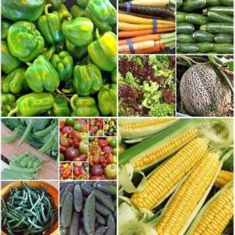 Heirloom Vegetable Garden, Seed Collection - BoxGardenSeedsLLC - Tomatoes,Tomatillos - Seeds - 