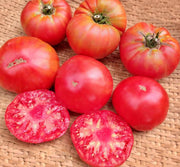 Minusinsk Lion, Tomato - BoxGardenSeedsLLC - Tomatoes,Tomatillos - Seeds - USA Seller, Thank you for shopping here today, Naturally Grown GMO Free Seeds, Heirloom Open Pollinated Seeds, Fresh Top Quality Premium Seeds