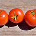 Perfect Rogue, Tomato - BoxGardenSeedsLLC -Tomatoes,Tomatillos - Seeds